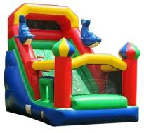 Tobogã Médio Golfinhos Fechado com Pula-pula